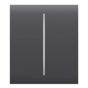 AjaxAjax LightSwitch CenterButton 2-gang. Plusador Central Doble. Color Grafito